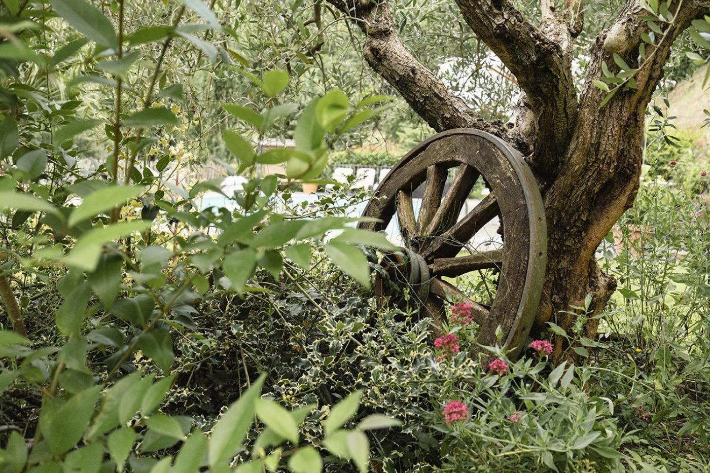Agriturismo L'Essiccatoio Lisciano Niccone Esterno foto